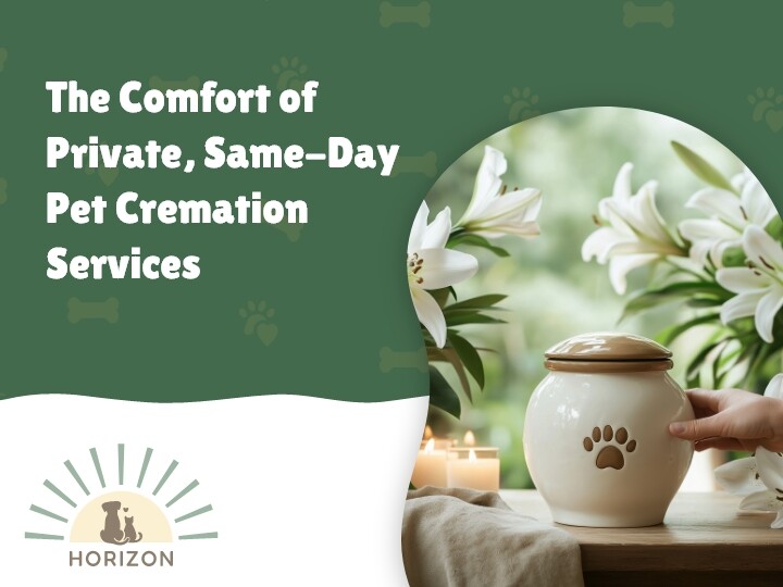 The Comfort of Private, Same-Day Pet Cremation Services