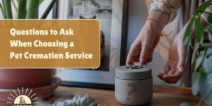 Questions to Ask When Choosing a Pet Cremation Service