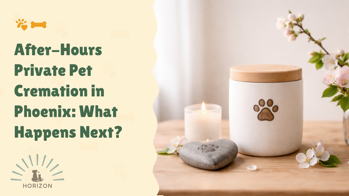 After-Hours Private Pet Cremation in Phoenix: What Happens Next?