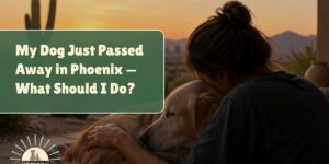 My Dog Just Passed Away in Phoenix — What Should I Do?