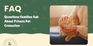 Questions Families Ask About Private Pet Cremation