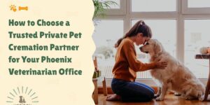 How to Choose a Trusted Private Pet Cremation Partner for Your Phoenix Veterinarian Office