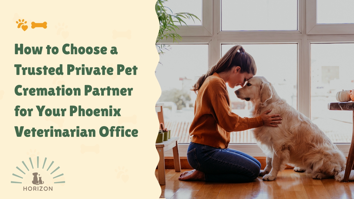 How to Choose a Trusted Private Pet Cremation Partner for Your Phoenix Veterinarian Office