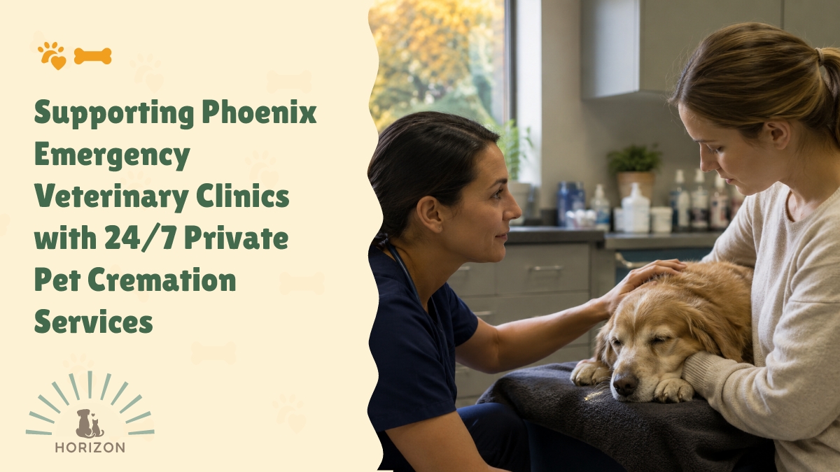 Supporting Phoenix Emergency Veterinary Clinics with 24/7 Private Pet Cremation Services
