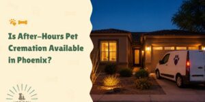 Is After-Hours Pet Cremation Available in Phoenix?