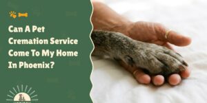 Can A Pet Cremation Service Come To My Home In Phoenix?