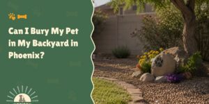 Can I Bury My Pet in My Backyard in Phoenix?