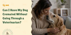 Can I Have My Dog Cremated Without Going Through a Veterinarian?
