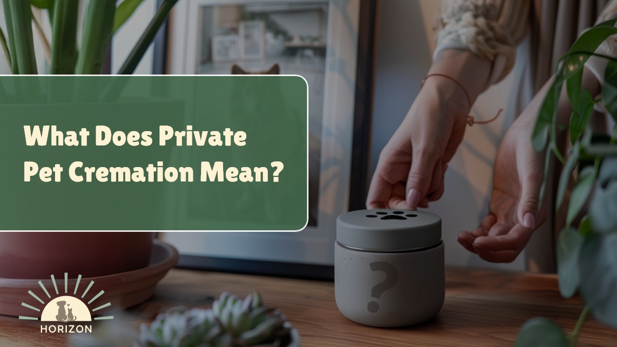 What Does Private Pet Cremation Mean?